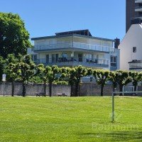 Bild (a72252d42a81407010a0b1f68dc1f433): LOGENPLATZ MIT RHEINBLICK - WOHNEN, WIE ANDERE URLAUB MACHEN