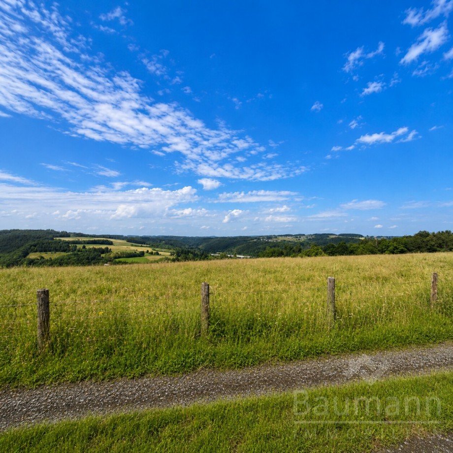 Zweifamilienhaus-Neustadt-Wied-Ausblick-ins Gr�ne Einfamilienhaus Neustadt (Wied) / Rotterheide